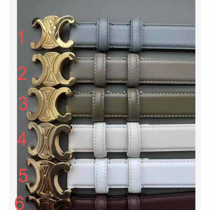 Celine Triomphe Belt - PerfectKickZ