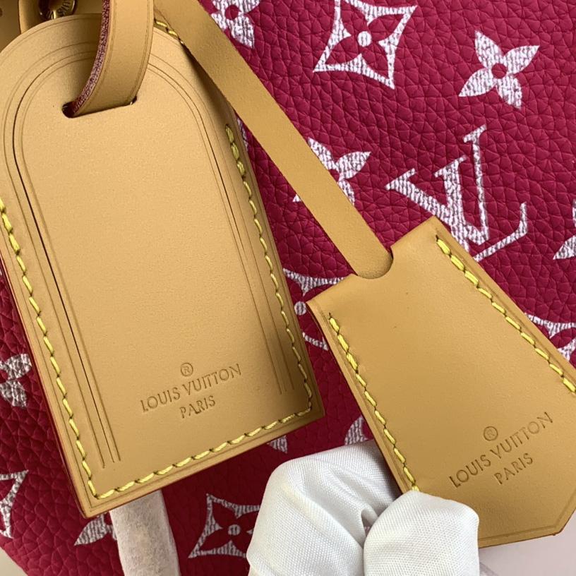 Louis Vuitton Speedy P9 Bandoulière 25   (25 x 15 x15cm) - PerfectKickZ