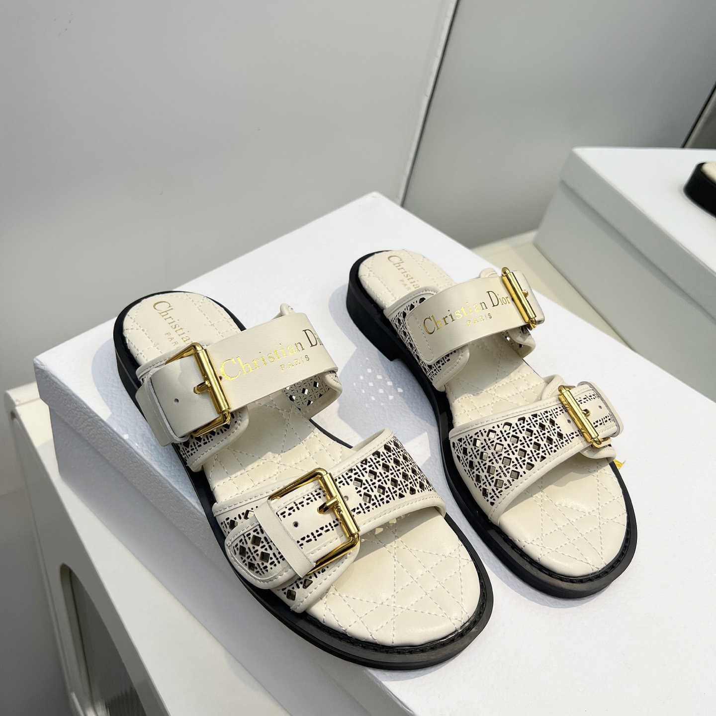 Dior D-Avenue Slide  - PerfectKickZ