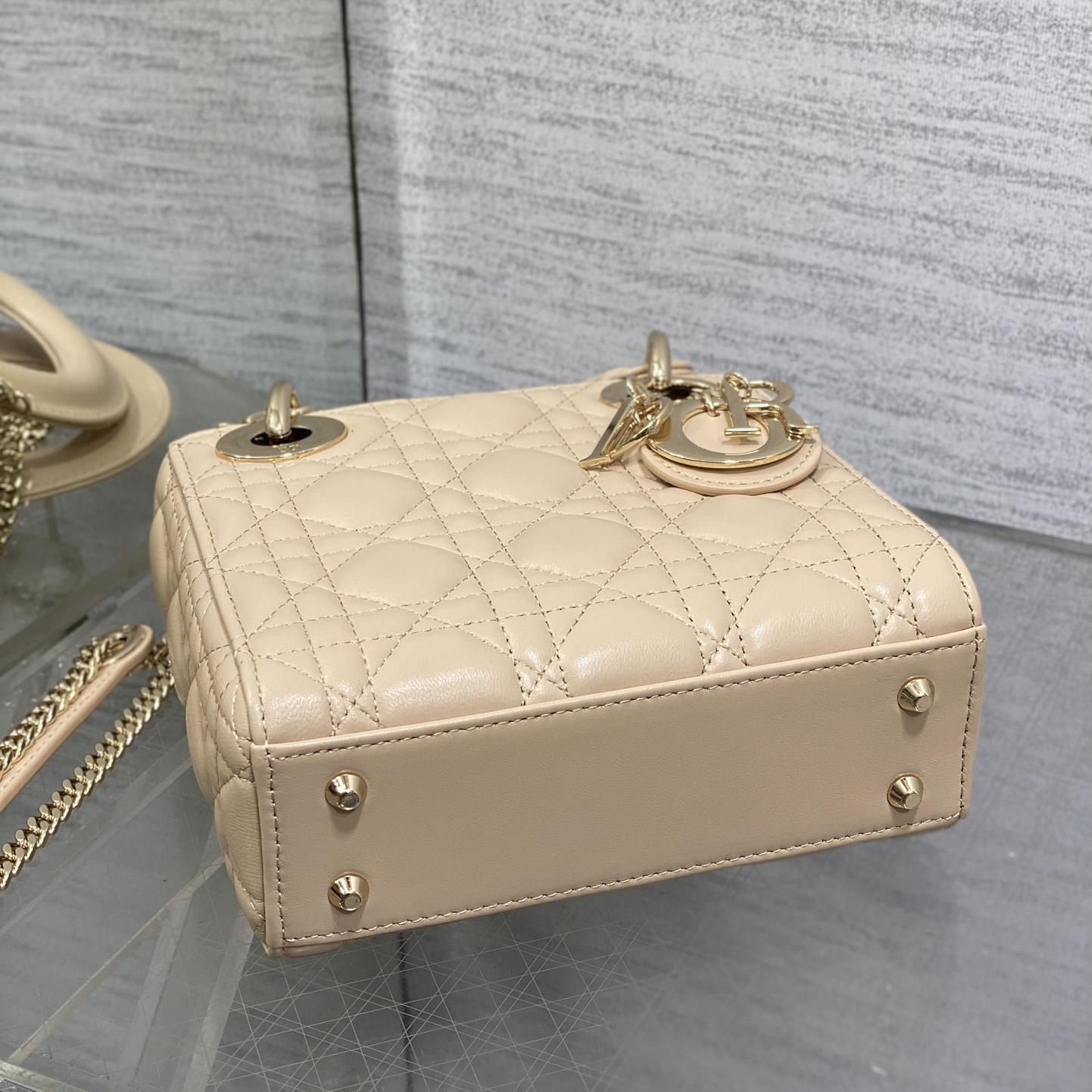 Dior Mini Lady Dior Bag     - PerfectKickZ