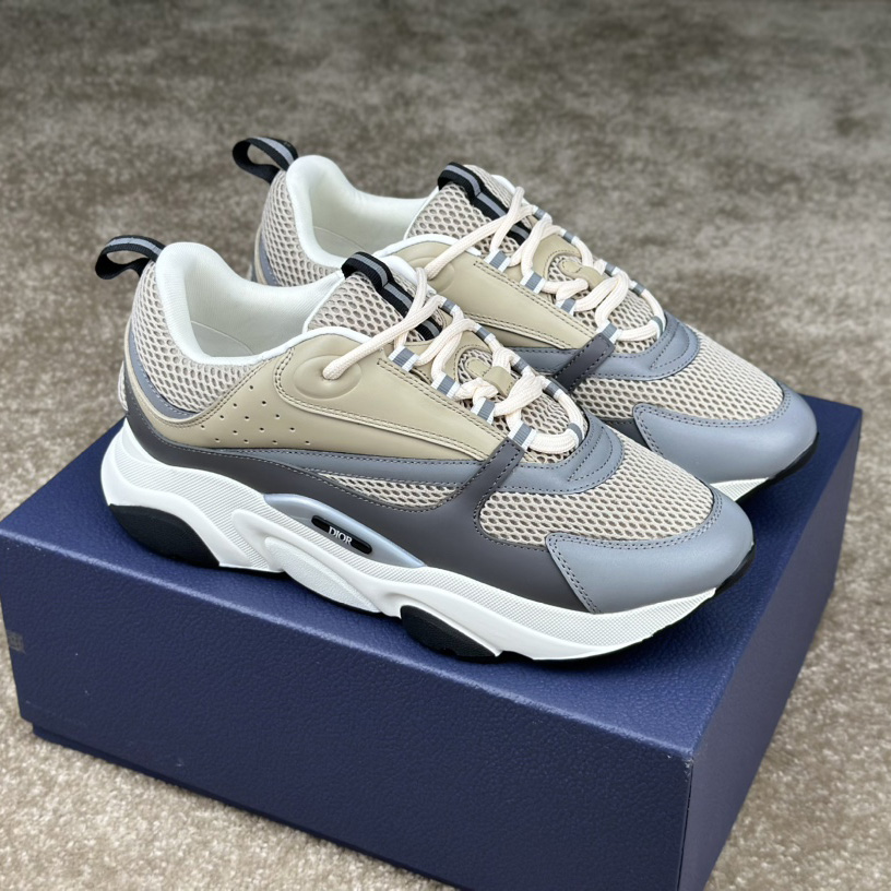 Dior B22 Sneaker  - PerfectKickZ