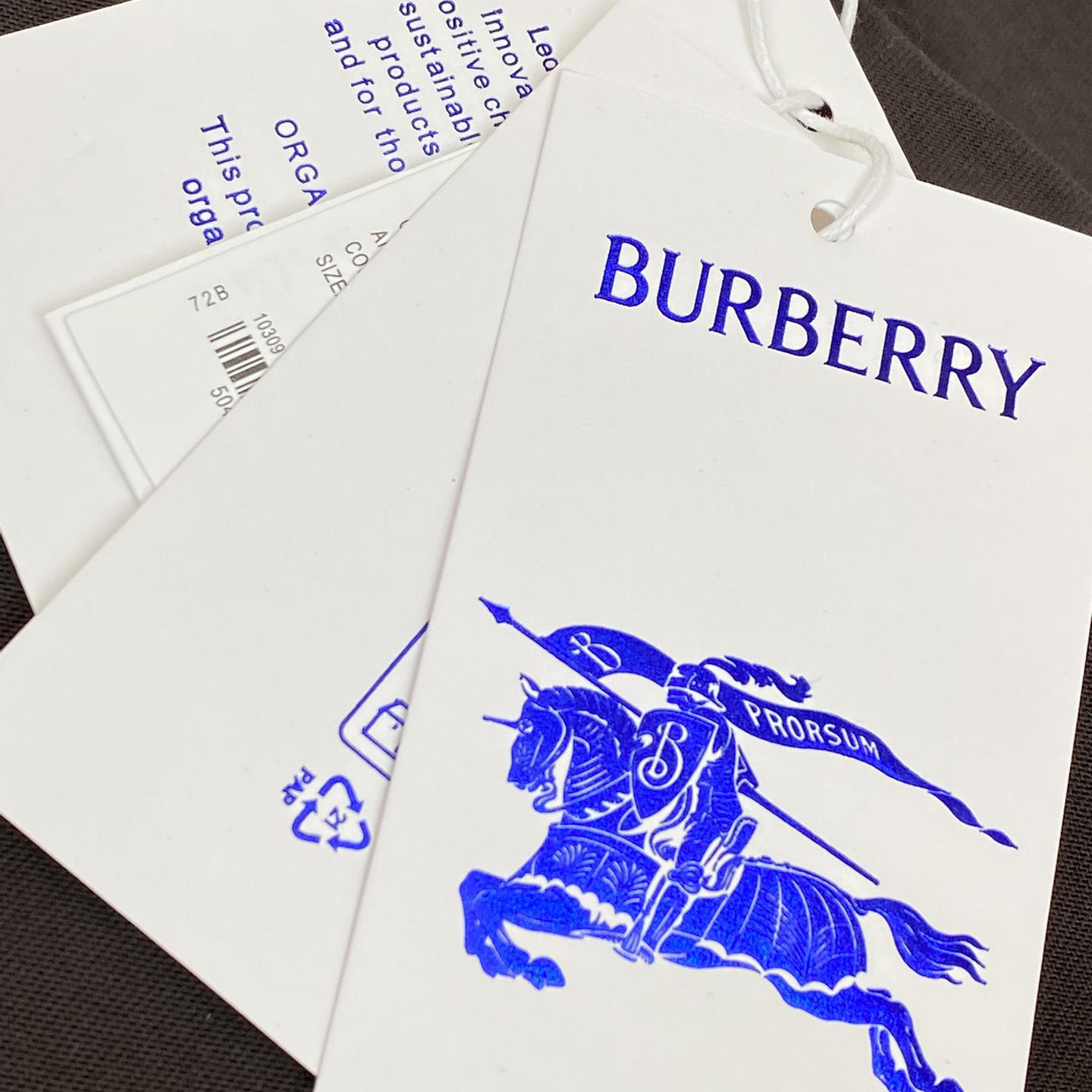 Burberry Paisley Logo Cotton T-shirt - PerfectKickZ