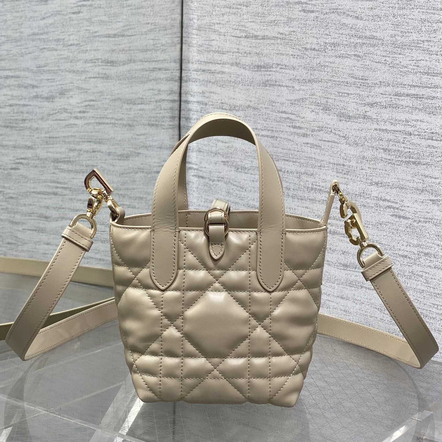 Dior Toujours Vertical Nano Tote Bag  - PerfectKickZ
