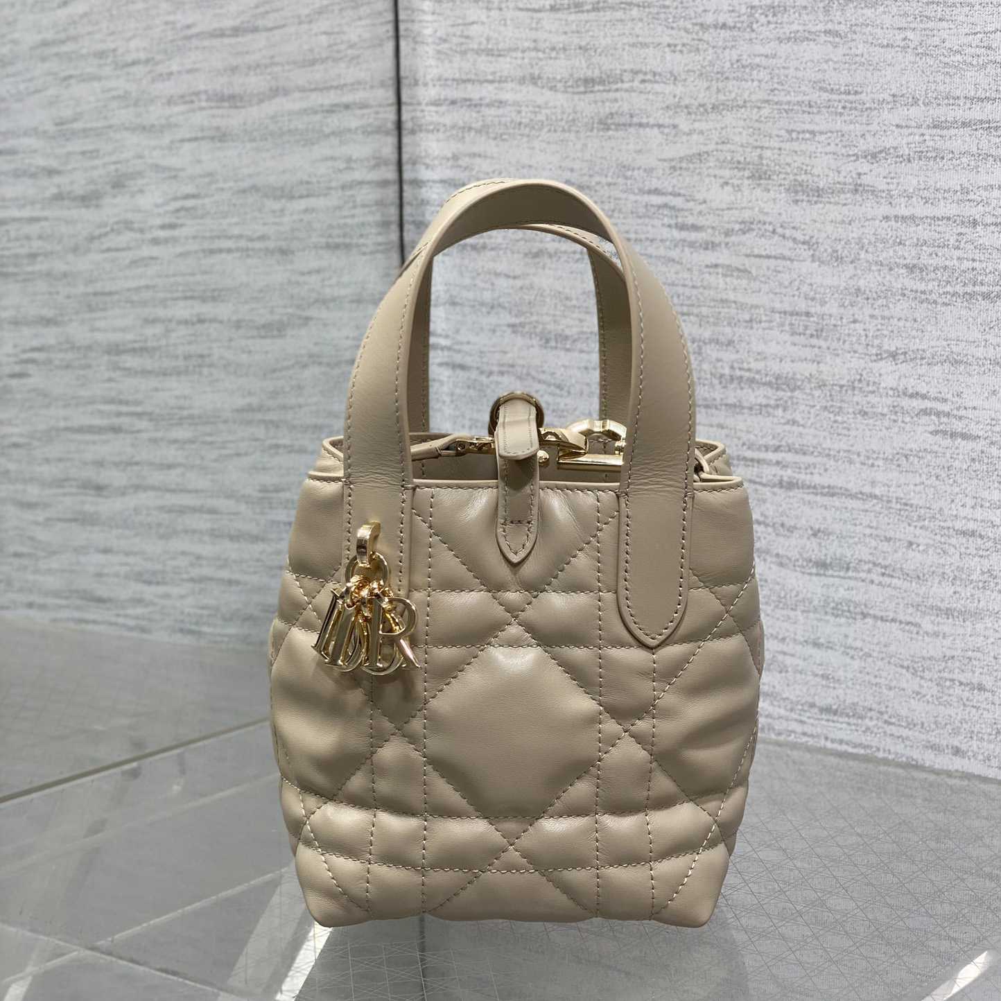 Dior Toujours Vertical Nano Tote Bag  - PerfectKickZ