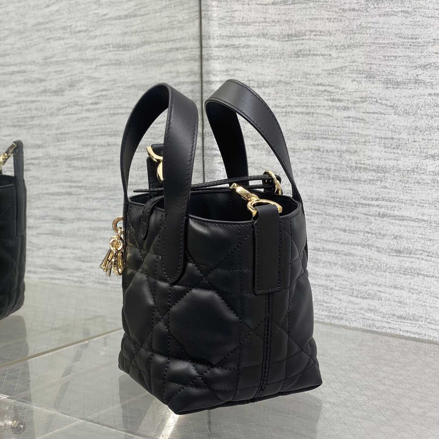 Dior Toujours Vertical Nano Tote Bag  - 