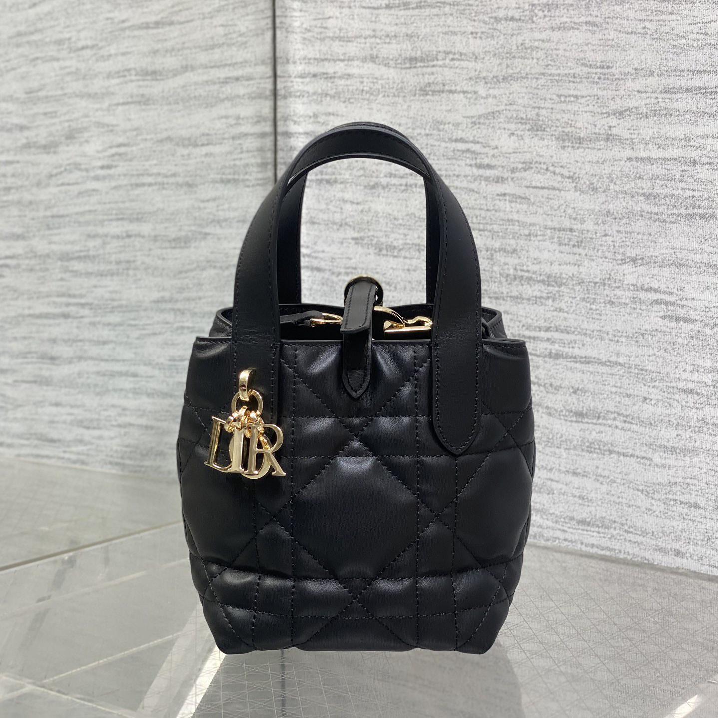 Dior Toujours Vertical Nano Tote Bag  - PerfectKickZ
