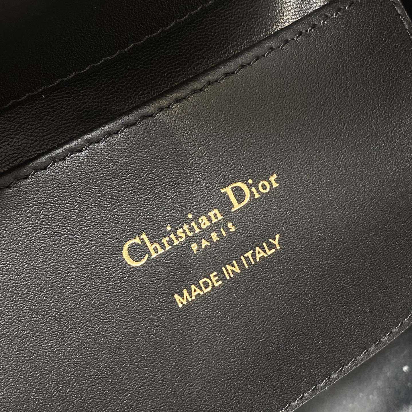 Dior Toujours Vertical Nano Tote Bag  - 