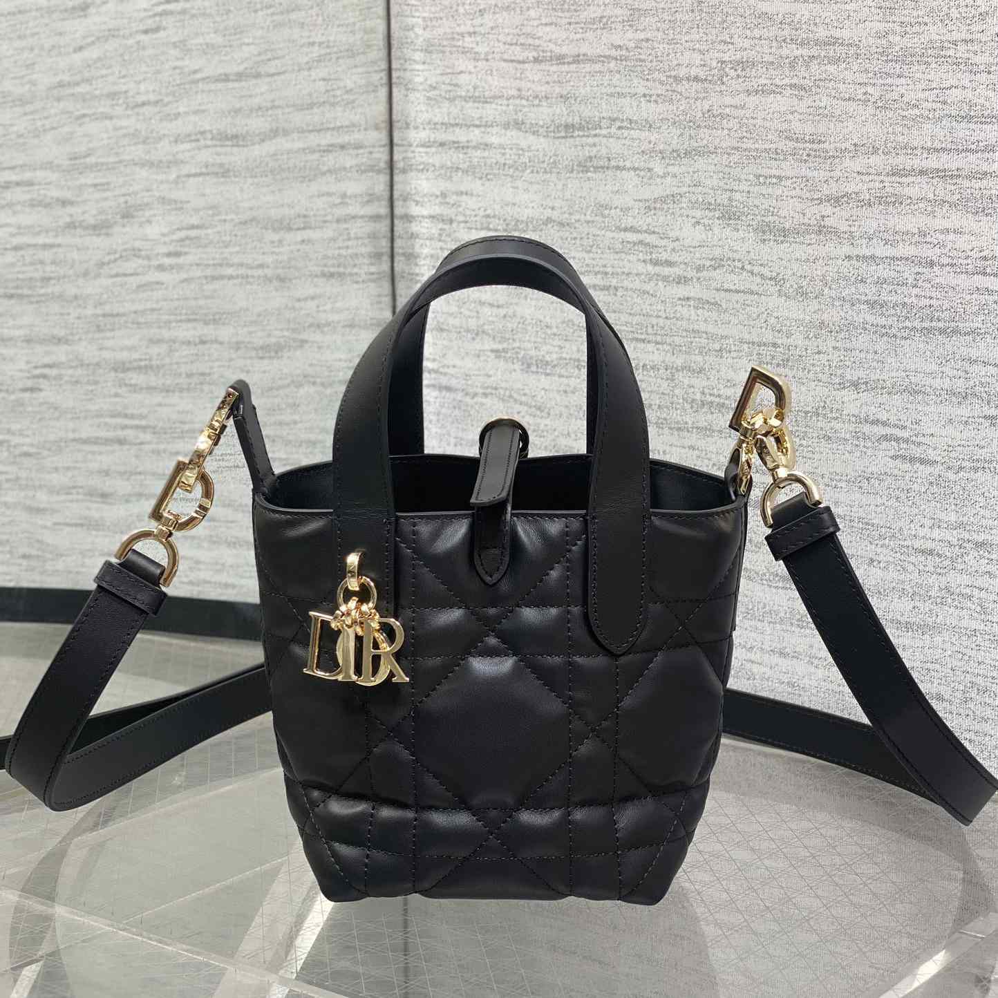 Dior Toujours Vertical Nano Tote Bag  - 