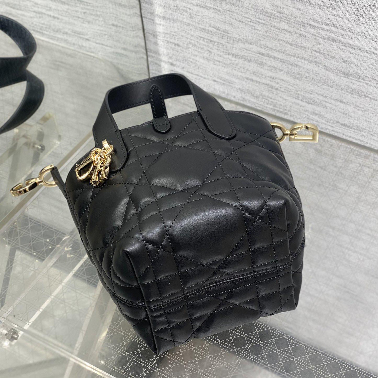 Dior Toujours Vertical Nano Tote Bag  - 
