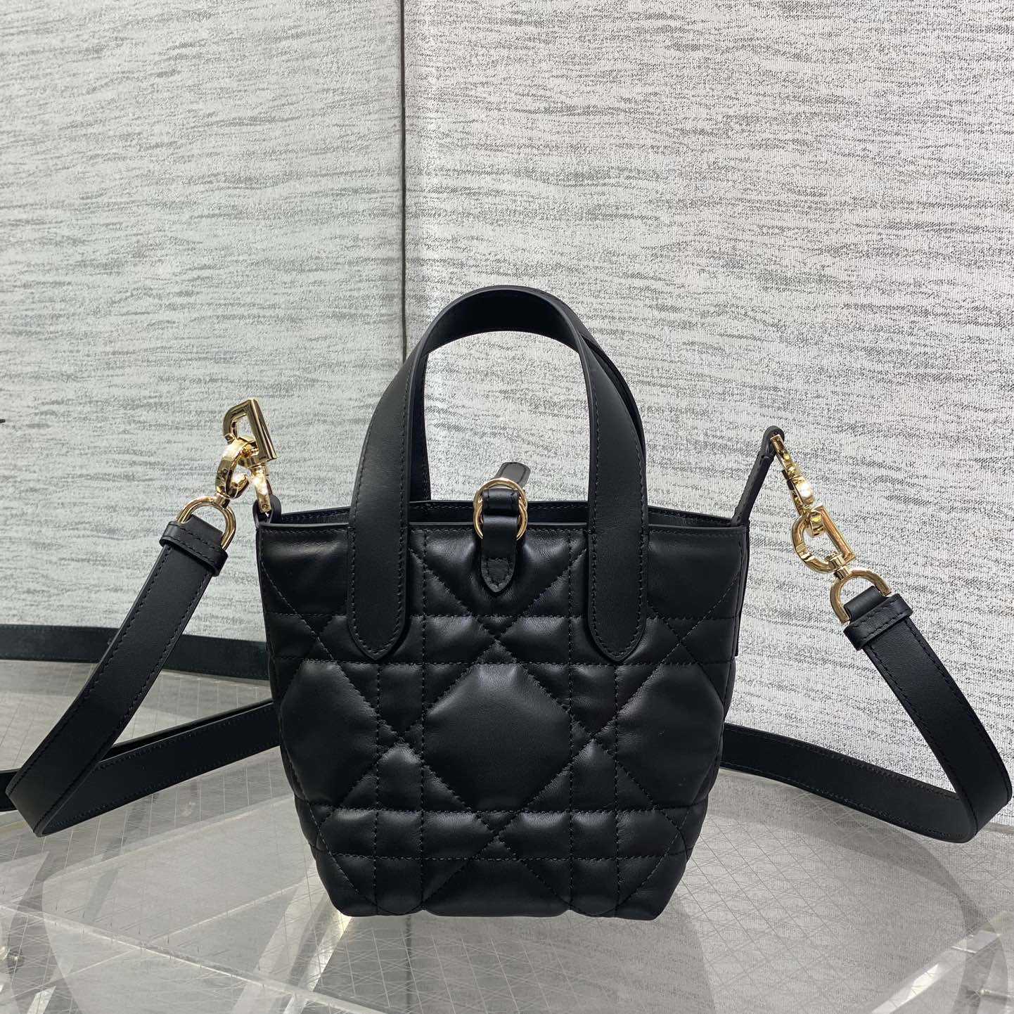 Dior Toujours Vertical Nano Tote Bag  - 