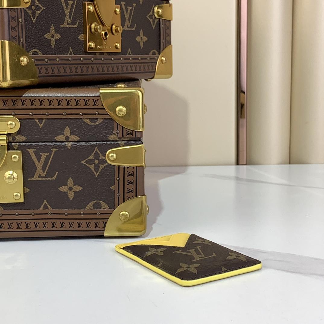 Louis Vuitton Porte-Cartes Magnet  M12853 - PerfectKickZ