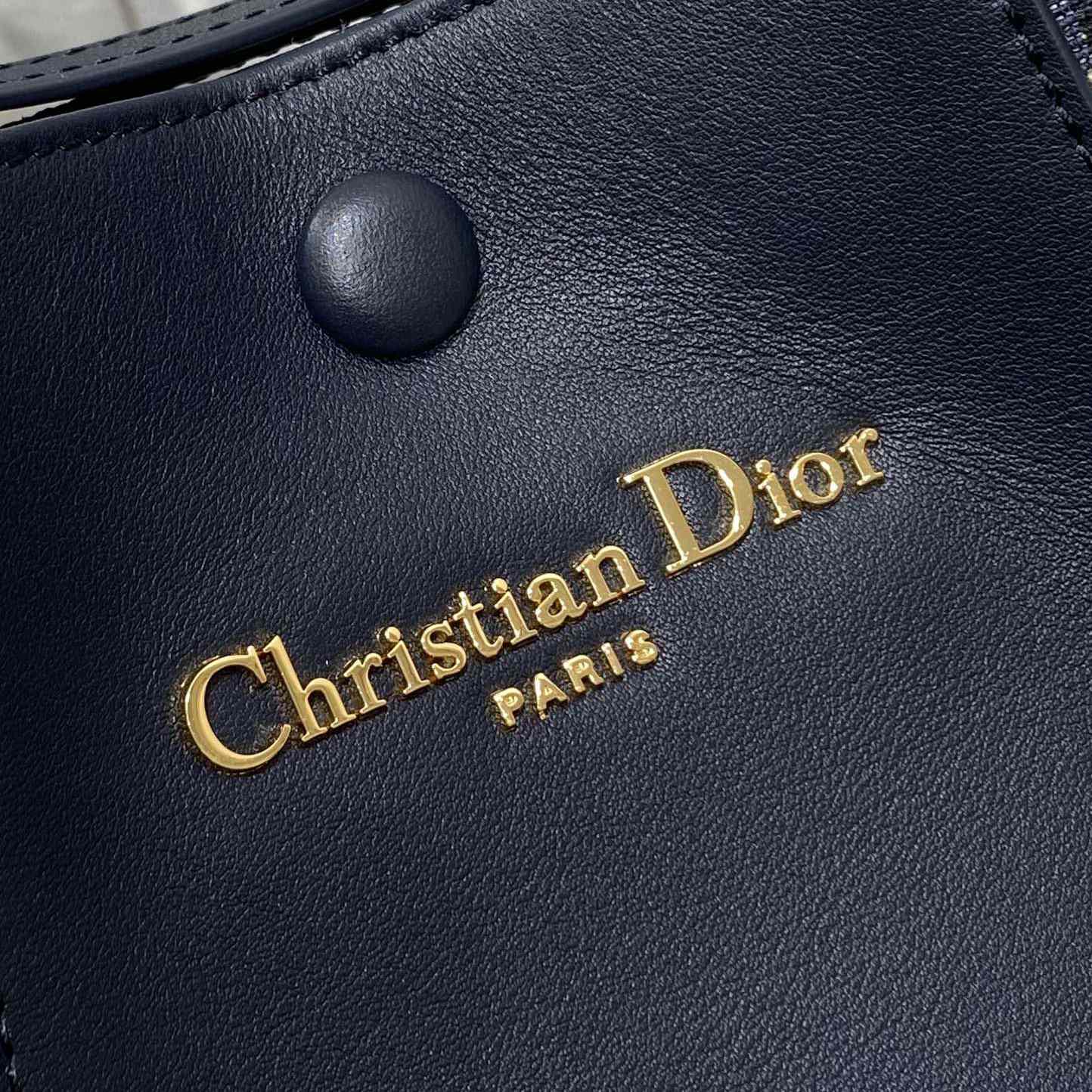 Dior Medium Signature Bucket Bag  - PerfectKickZ