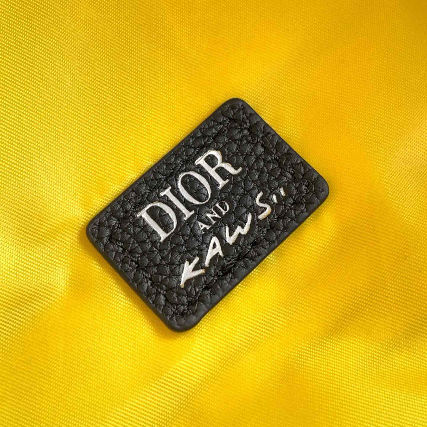 Dior And Kaws Rider 2.0 Zipped Backpack  - PerfectKickZ