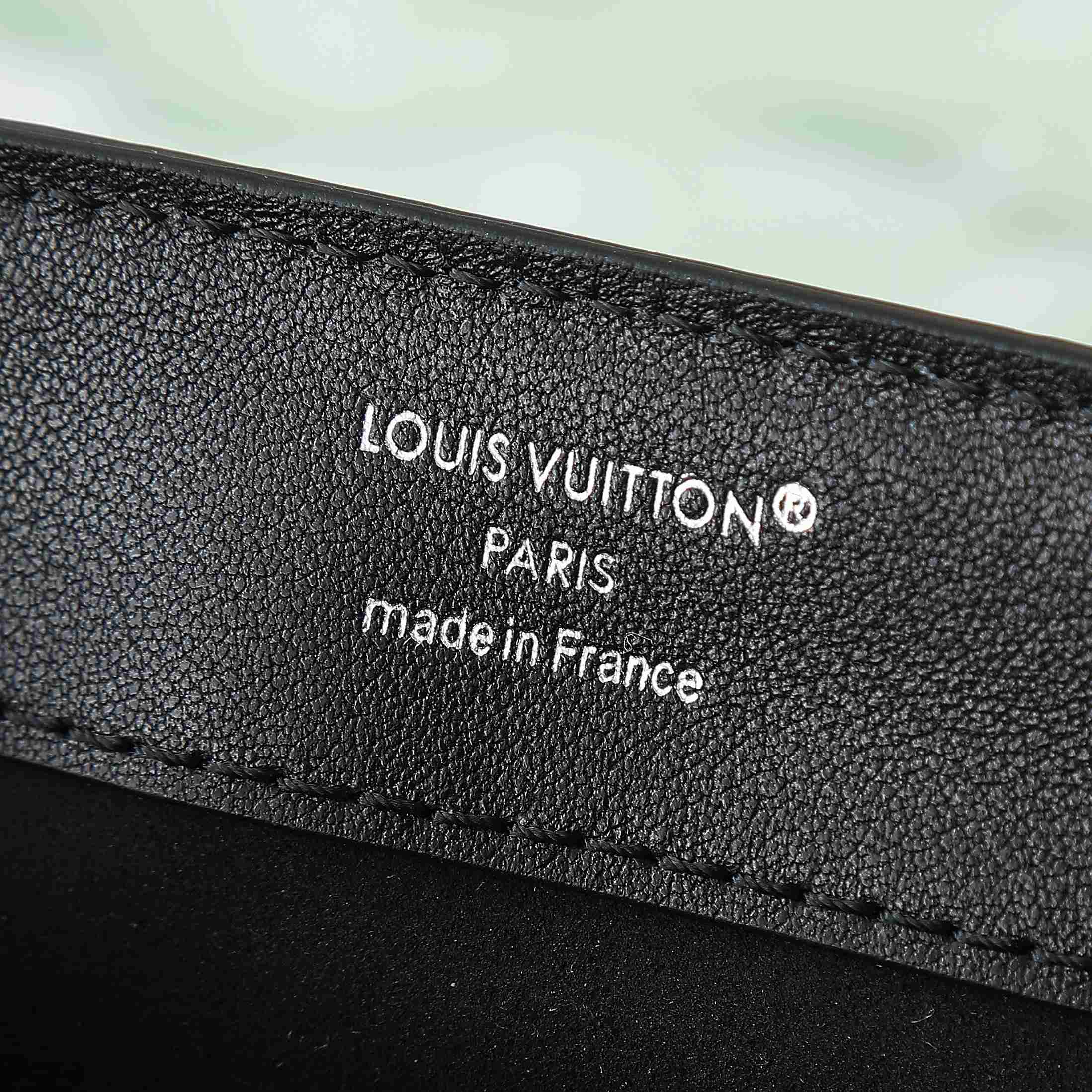 Louis Vuitton Dauphine Soft Vibe MM   M13450 - PerfectKickZ