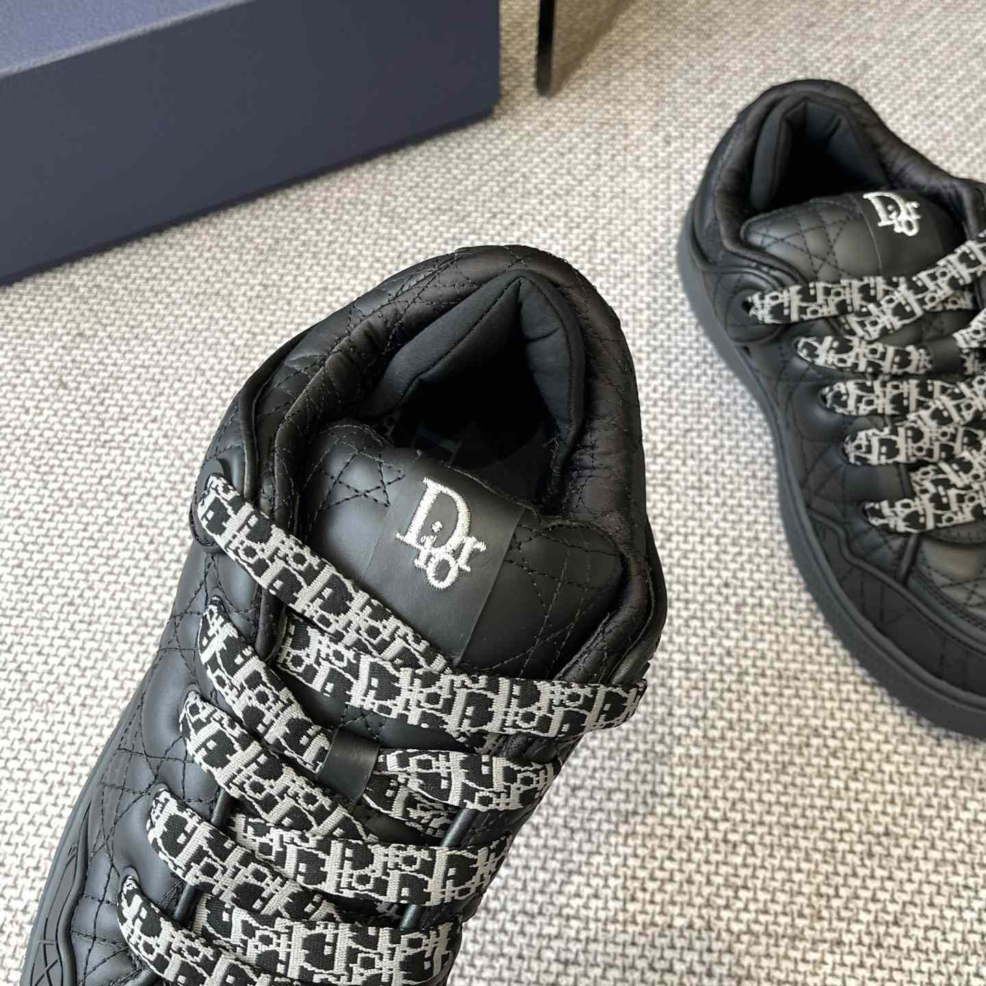 Dior B9S Skater Sneakers - PerfectKickZ