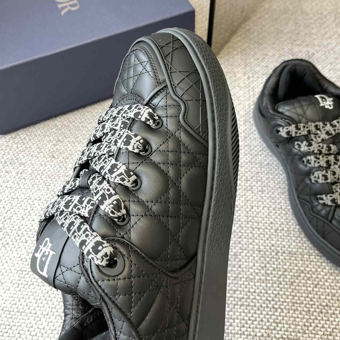 Dior B9S Skater Sneakers - PerfectKickZ