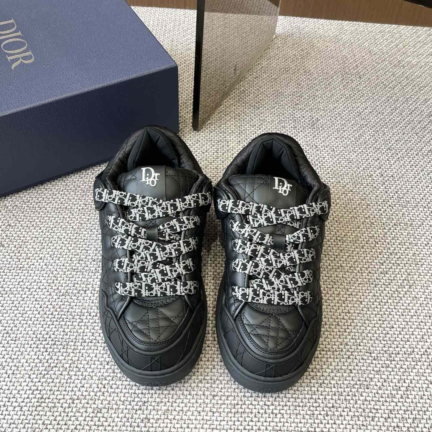 Dior B9S Skater Sneakers - PerfectKickZ