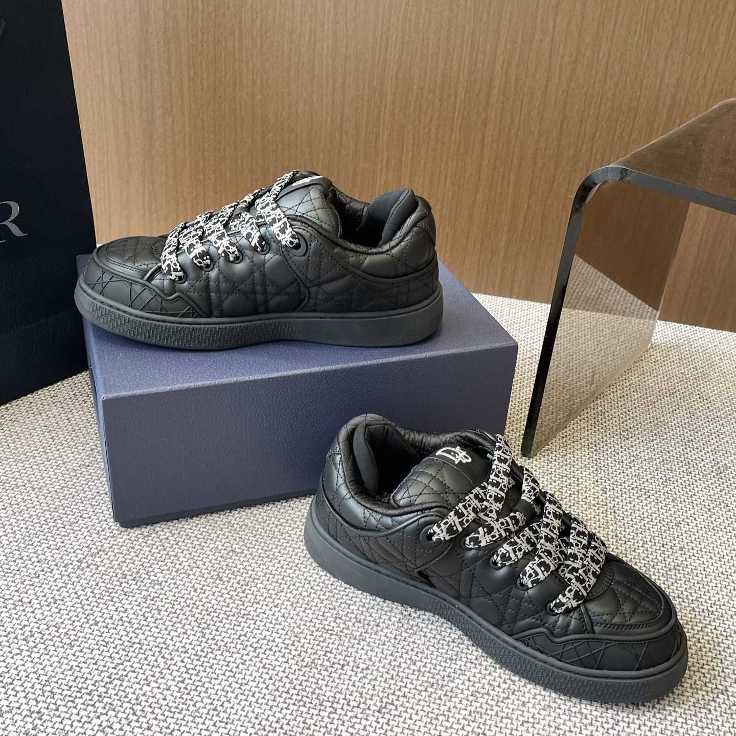 Dior B9S Skater Sneakers - PerfectKickZ