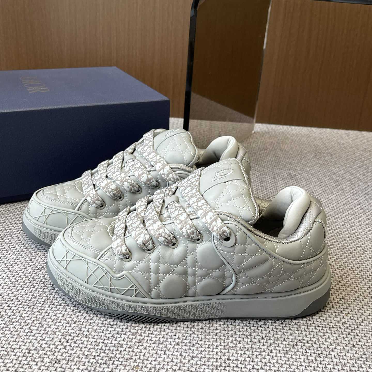Dior B9S Skater Sneakers - PerfectKickZ