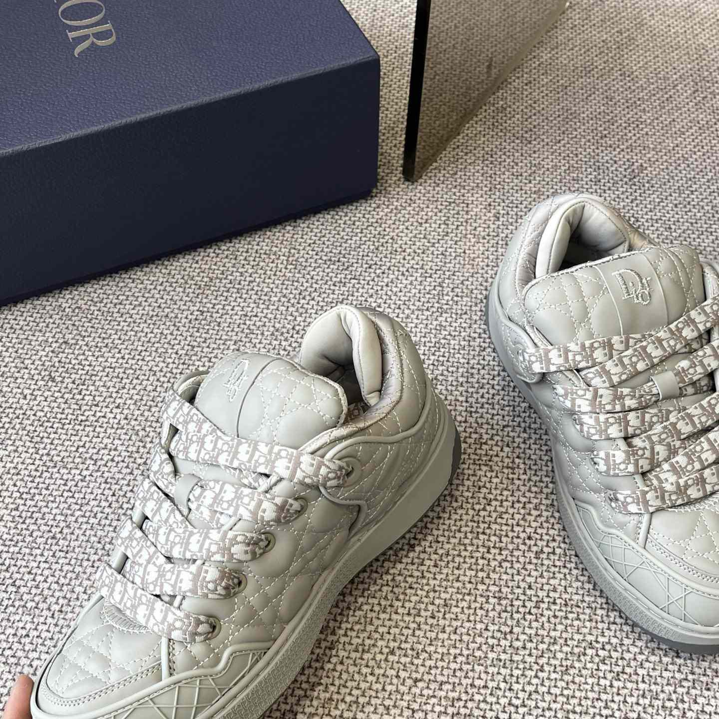 Dior B9S Skater Sneakers - PerfectKickZ