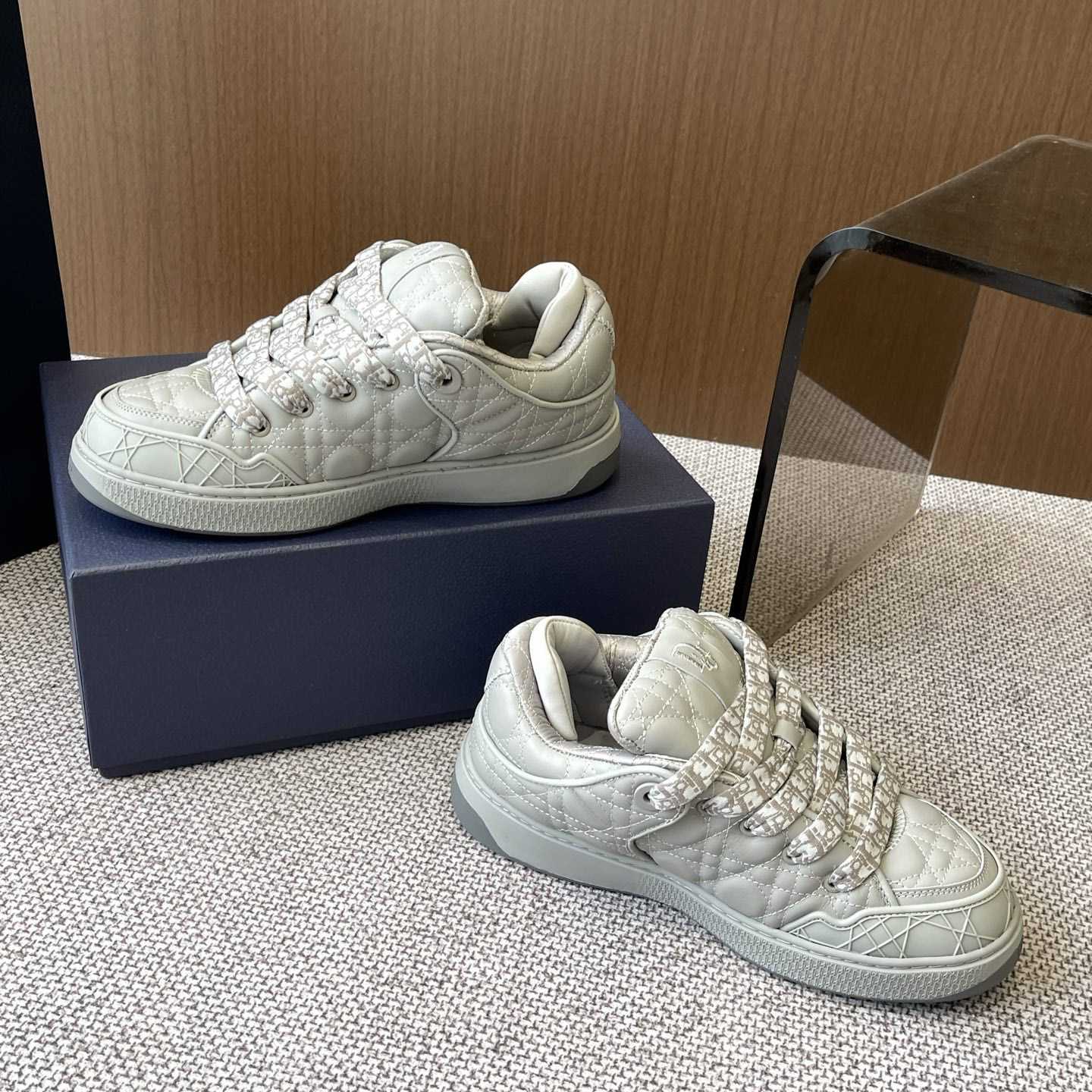 Dior B9S Skater Sneakers - PerfectKickZ