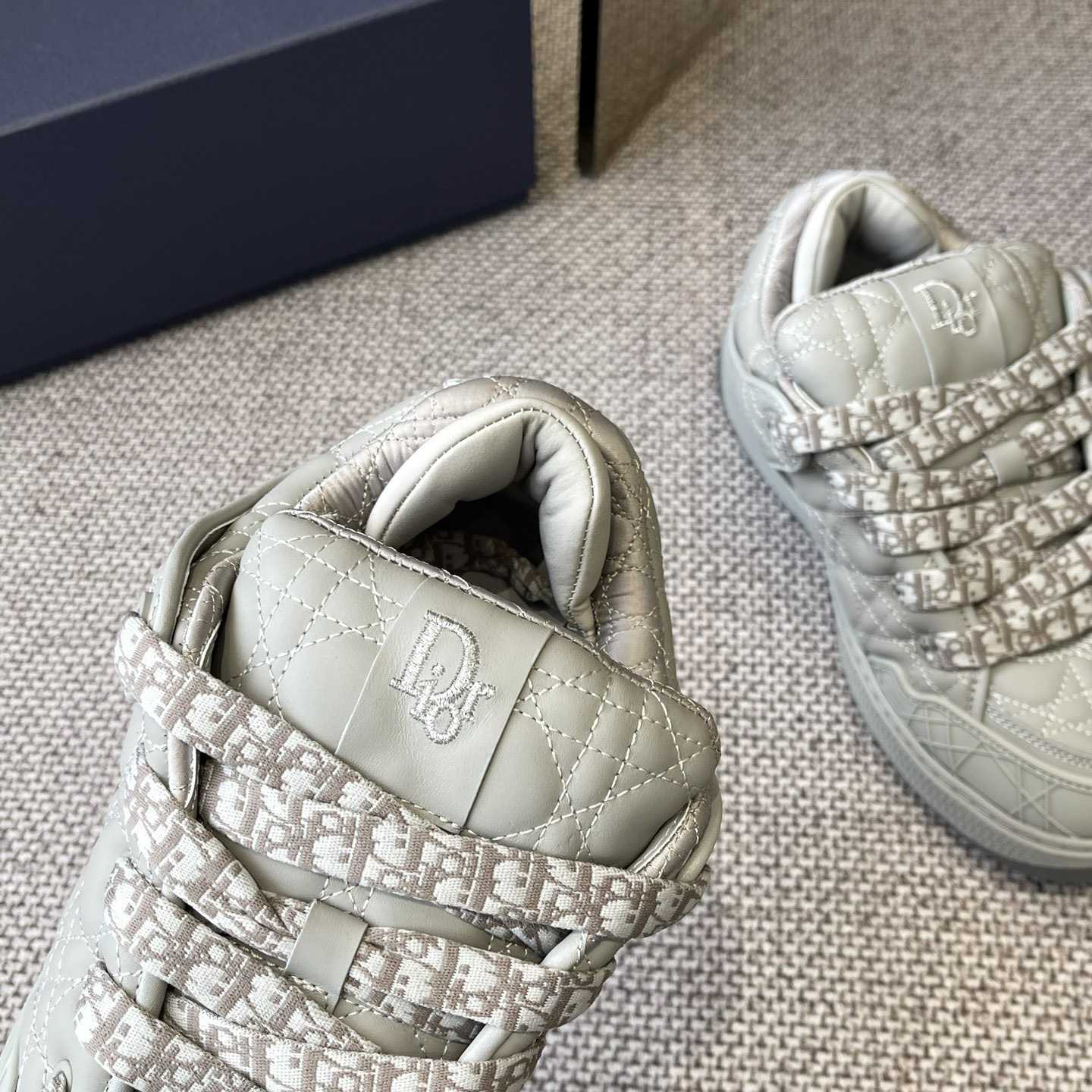 Dior B9S Skater Sneakers - PerfectKickZ