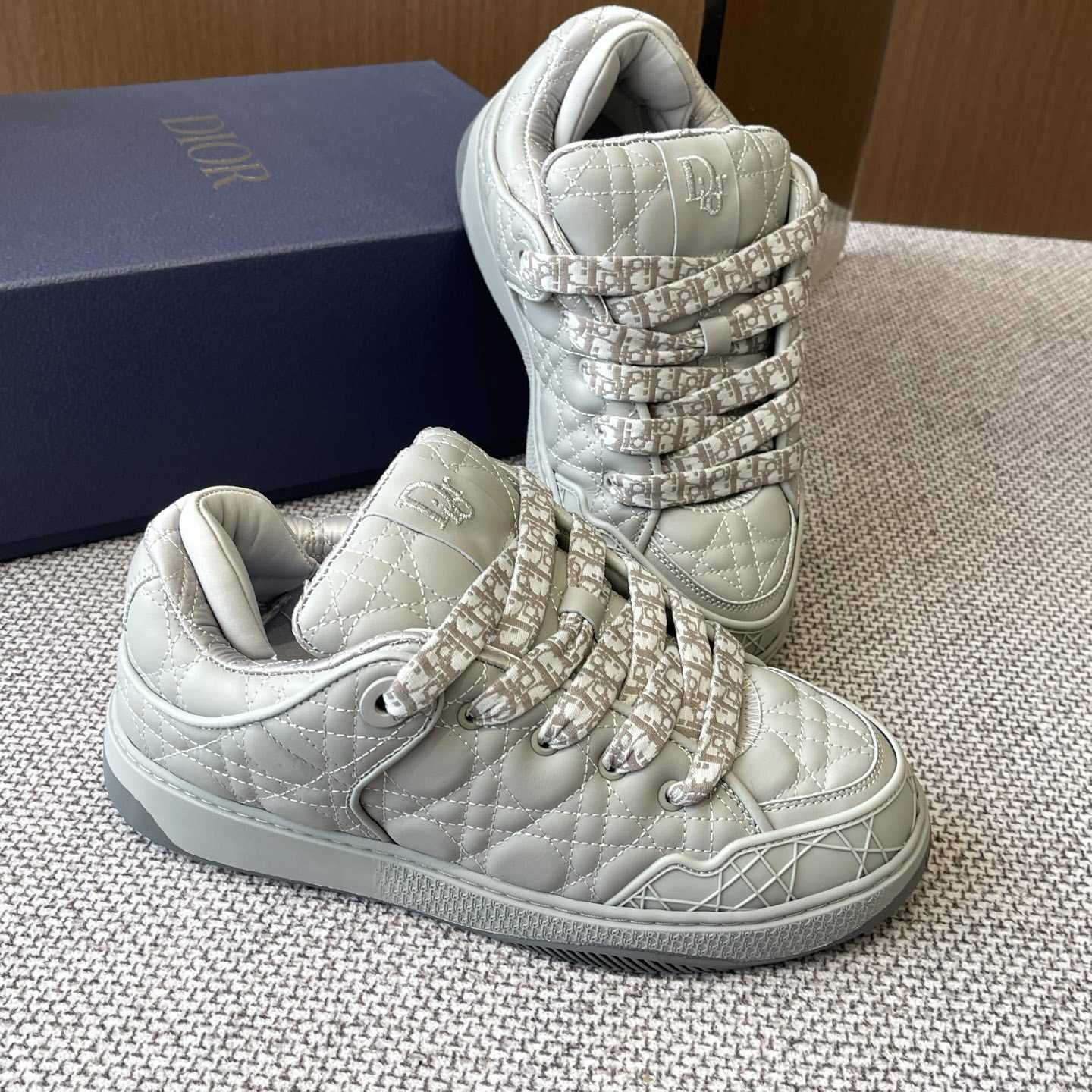 Dior B9S Skater Sneakers - PerfectKickZ