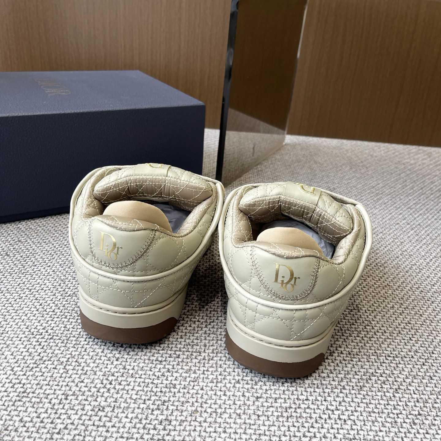 Dior B9S Skater Sneakers - PerfectKickZ