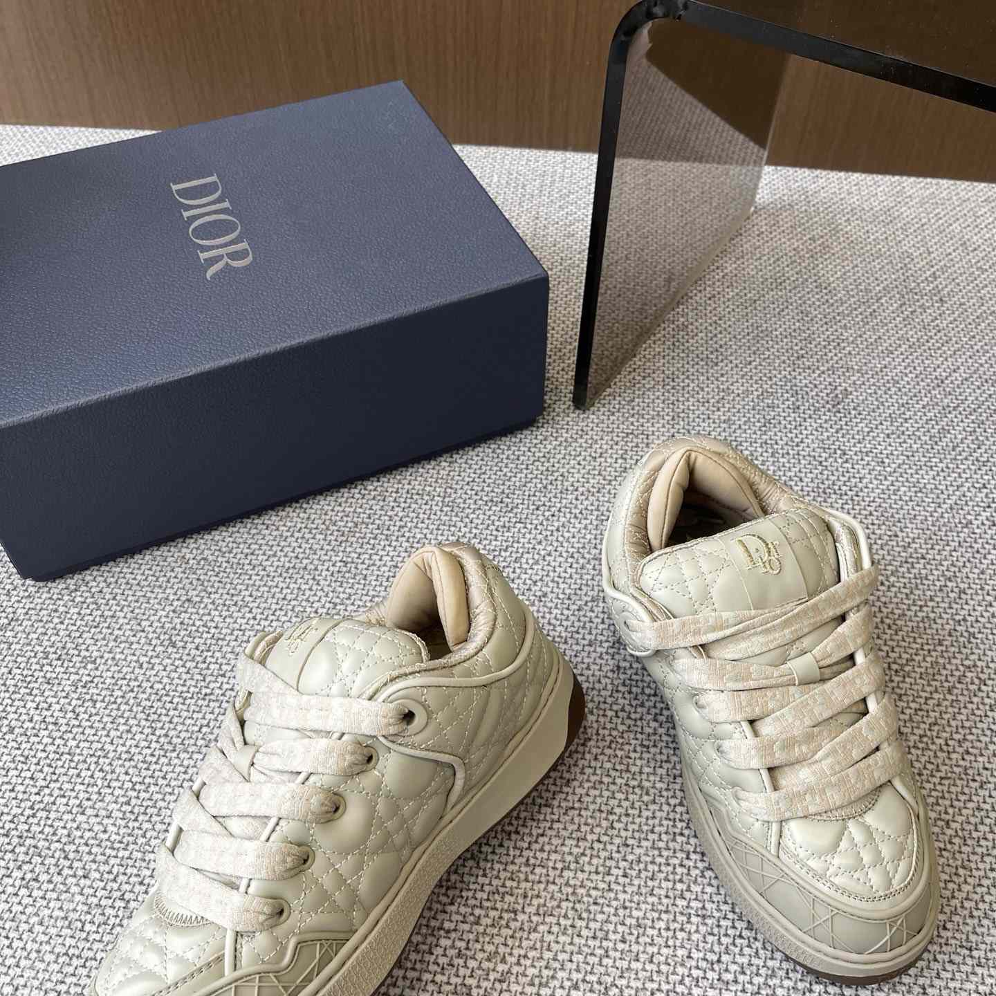 Dior B9S Skater Sneakers - PerfectKickZ