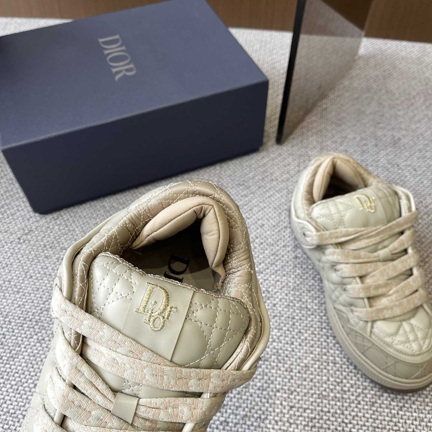 Dior B9S Skater Sneakers - PerfectKickZ