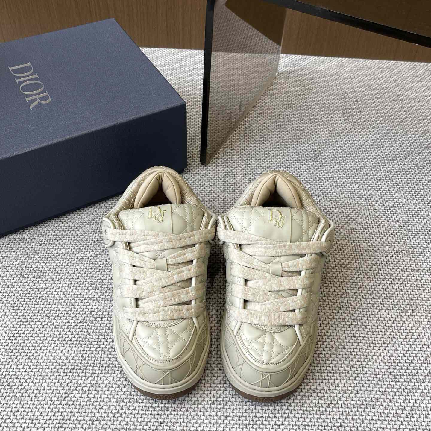 Dior B9S Skater Sneakers - PerfectKickZ