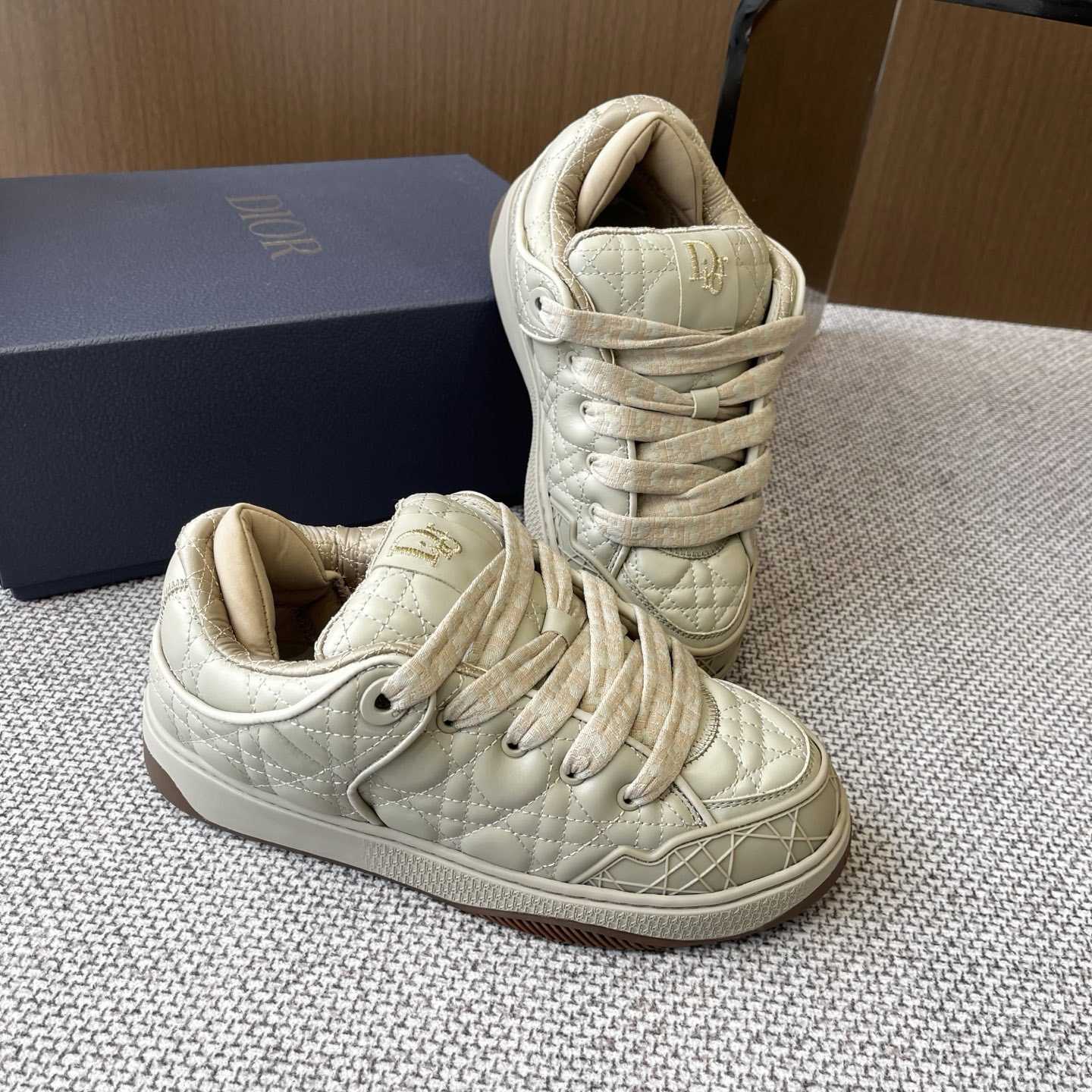 Dior B9S Skater Sneakers - PerfectKickZ