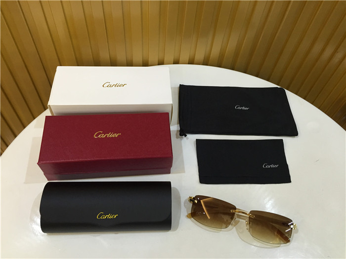 Cartier 3524012 White Buffalo Eyeglasses In Gold - PerfectKickZ