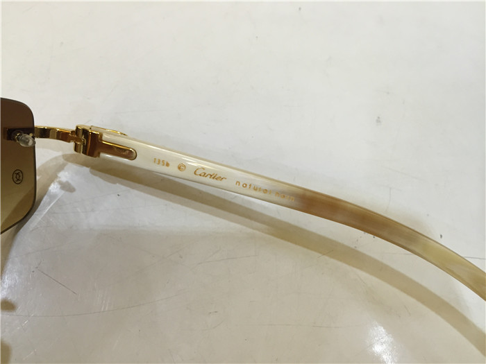Cartier 3524012 White Buffalo Eyeglasses In Gold - PerfectKickZ