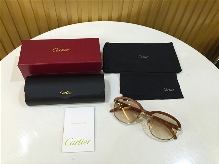 Cartier 1116679 Sunglasses In Silver Brown Gradient - PerfectKickZ