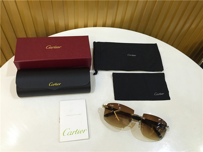 Cartier 4189705 White Mix Black Buffalo Sunglasses In Silver - PerfectKickZ