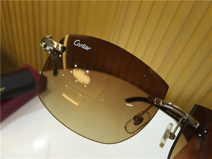 Cartier 4189705 White Mix Black Buffalo Sunglasses In Silver - PerfectKickZ