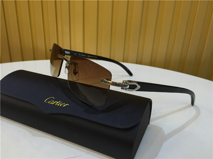 Cartier 3524012 Black Cattle Horn Eyeglasses In Silver - PerfectKickZ
