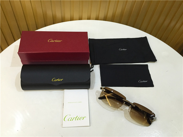 Cartier 3524012 Black Cattle Horn Eyeglasses In Silver - PerfectKickZ