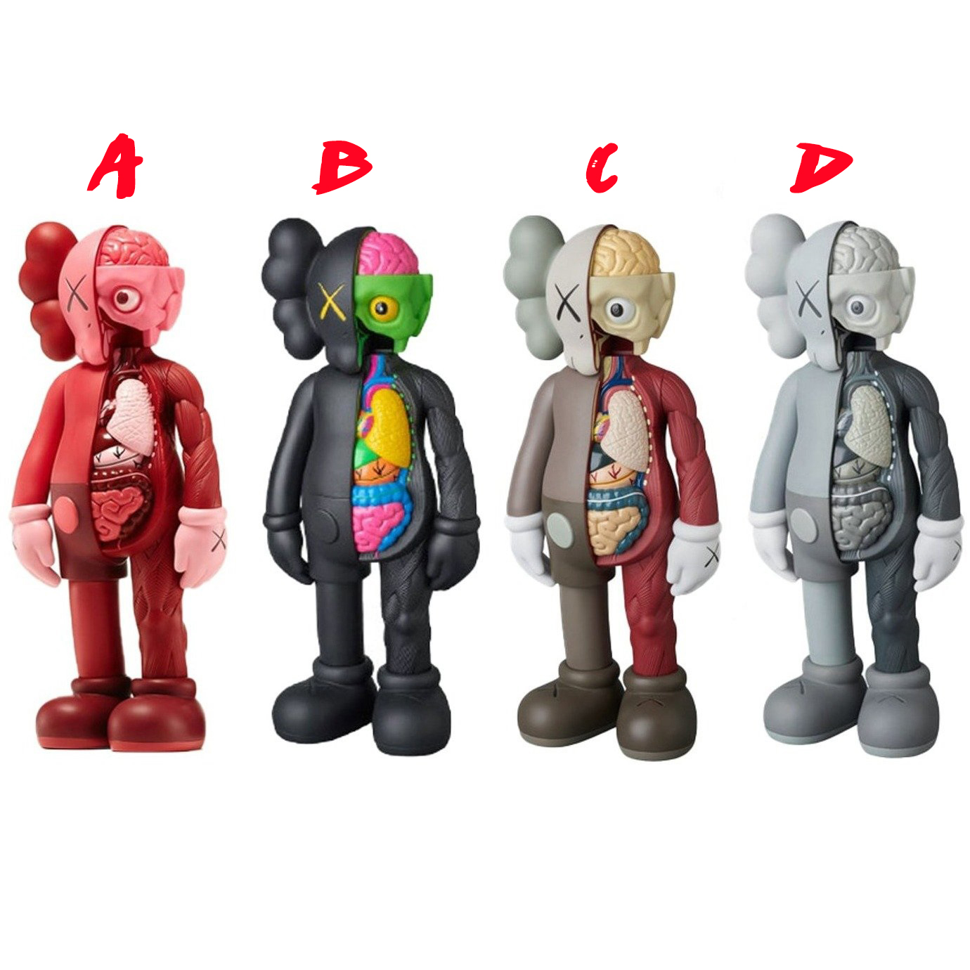 Companion Flayed/ 37cm - PerfectKickZ