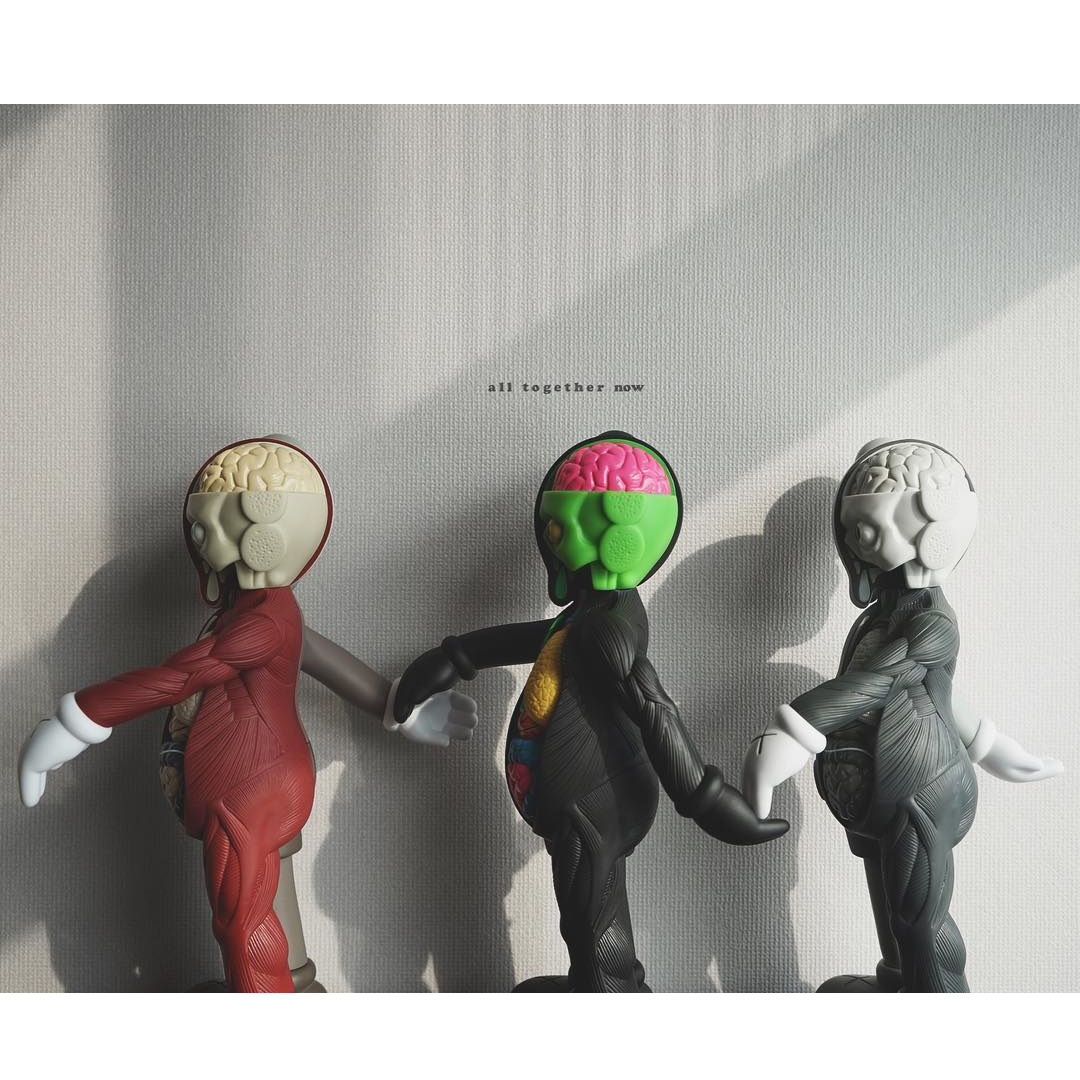 Companion Flayed/ 28cm - PerfectKickZ