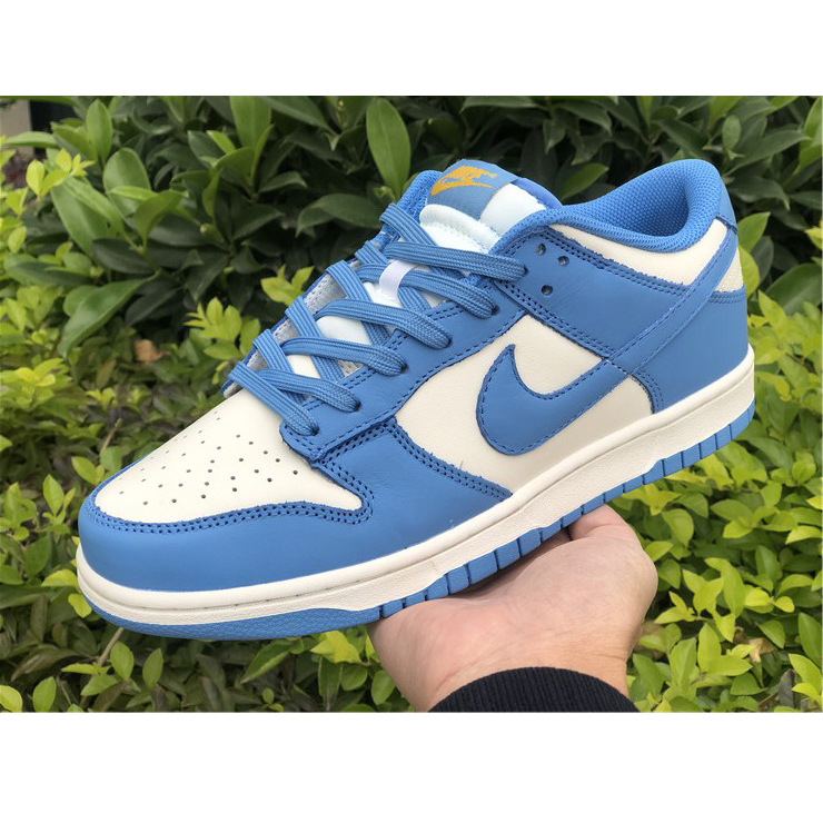 Nike Dunk Low Coast DD1503-100 - PerfectKickZ