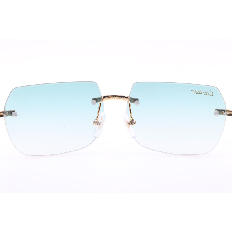 Cartier  8300818 Engrave Lens Wood Sunglasses In Silver Brown - PerfectKickZ