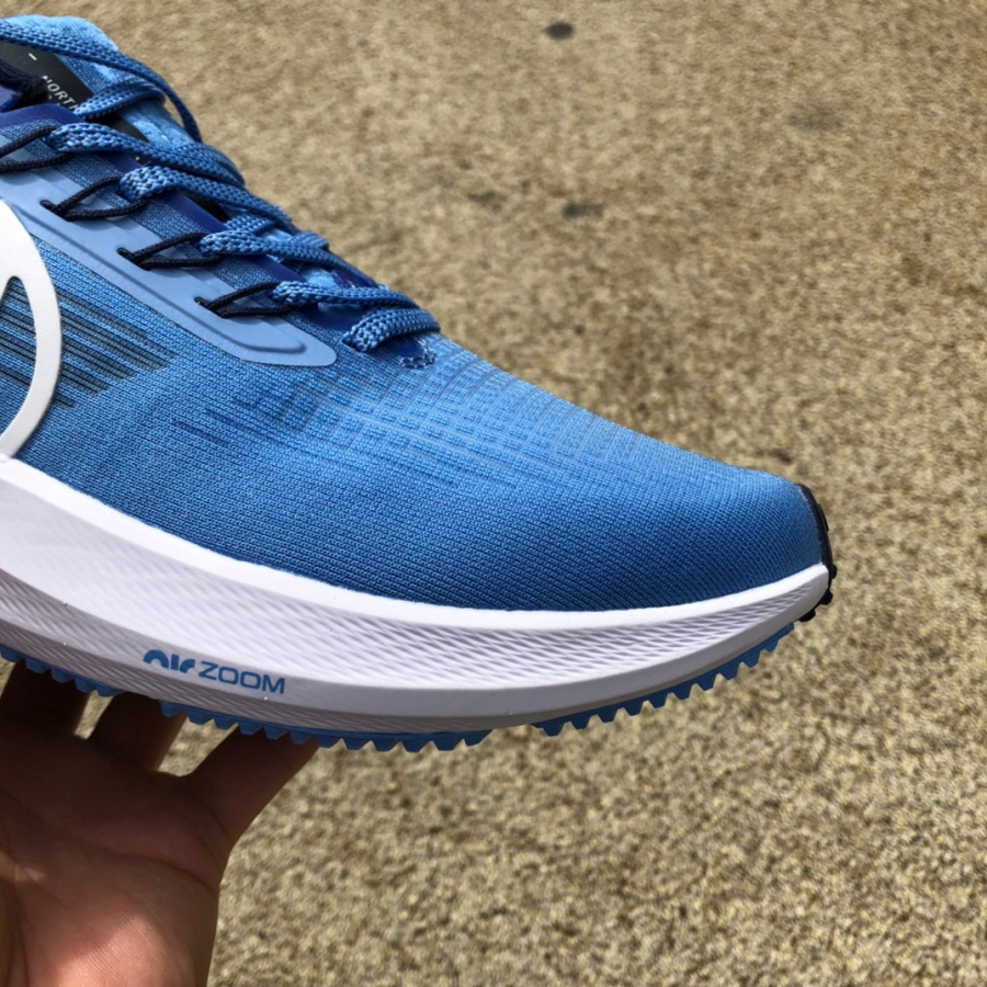 Nike Air Zoom Pegasus 39 Sneaker  DR1967-400 - PerfectKickZ