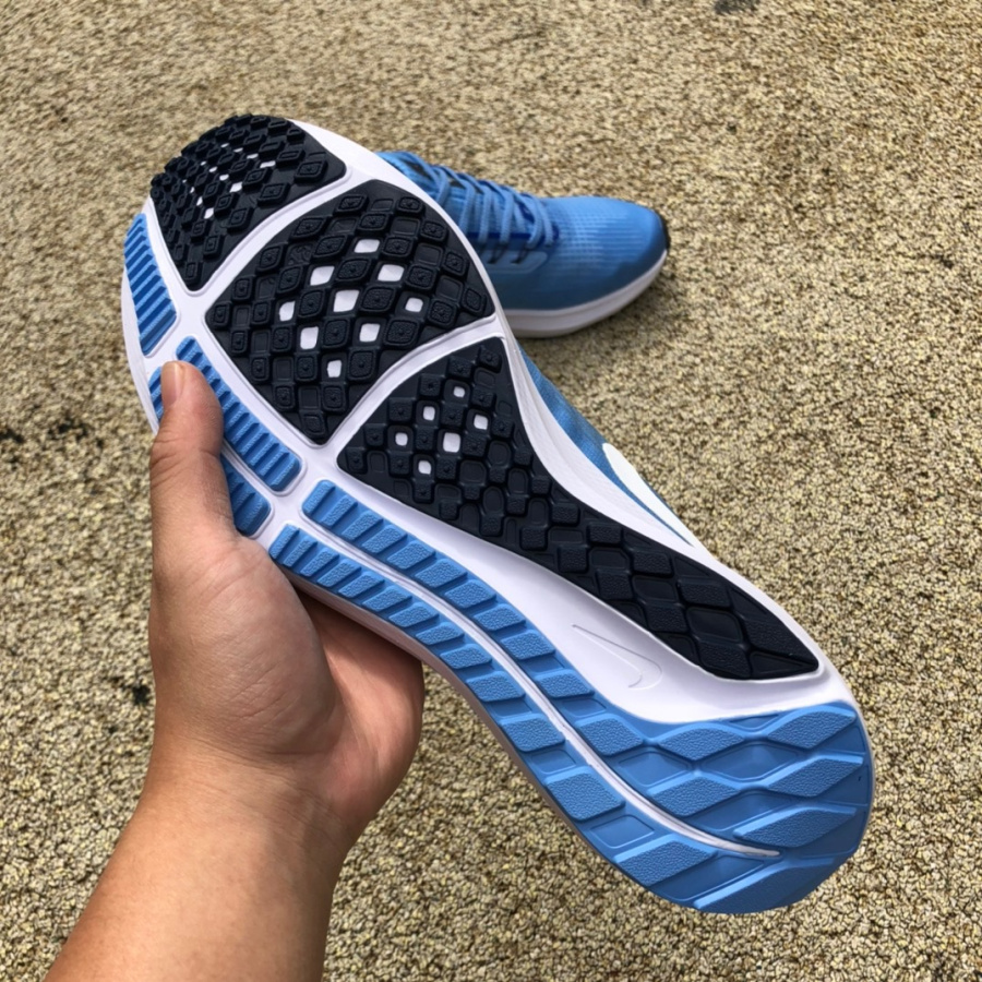 Nike Air Zoom Pegasus 39 Sneaker  DR1967-400 - PerfectKickZ