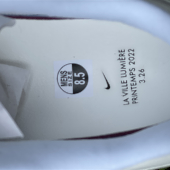 Nike Air Max 1 AMD La Ville Lumière Sneaker DQ9326-100 - PerfectKickZ