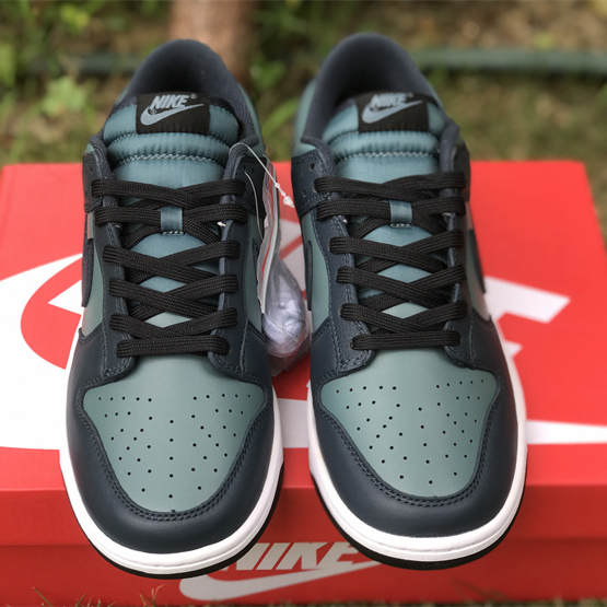 Nike Dunk Low  Sneaker     DR9705-300 - PerfectKickZ