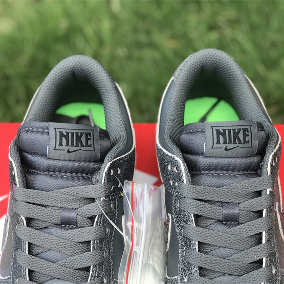 Nike Dunk Low “Iron Grey” Sneaker     DQ7681-001 - PerfectKickZ