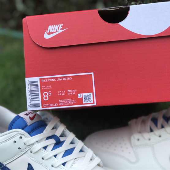 Nike Dunk Low Sneaker    DX3198-133  - PerfectKickZ