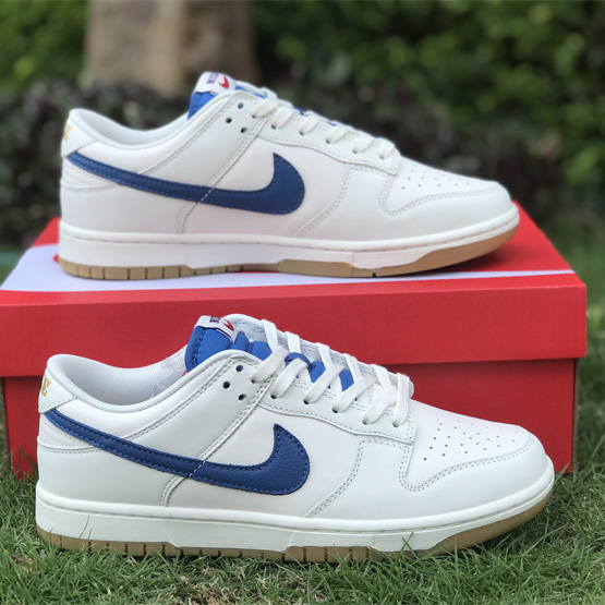 Nike Dunk Low Sneaker    DX3198-133  - PerfectKickZ